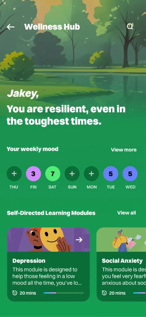 Device preview
